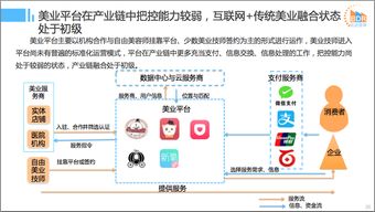 2016年中國互聯(lián)網(wǎng)本地服務(wù)競(jìng)爭(zhēng)格局研究報(bào)告